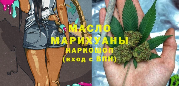 индика Абинск