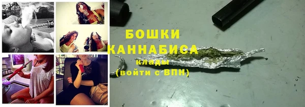 ПСИЛОЦИБИНОВЫЕ ГРИБЫ Медвежьегорск