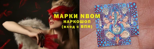 индика Абинск