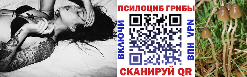 Галлюциногенные грибы Magic Shrooms  Уржум 